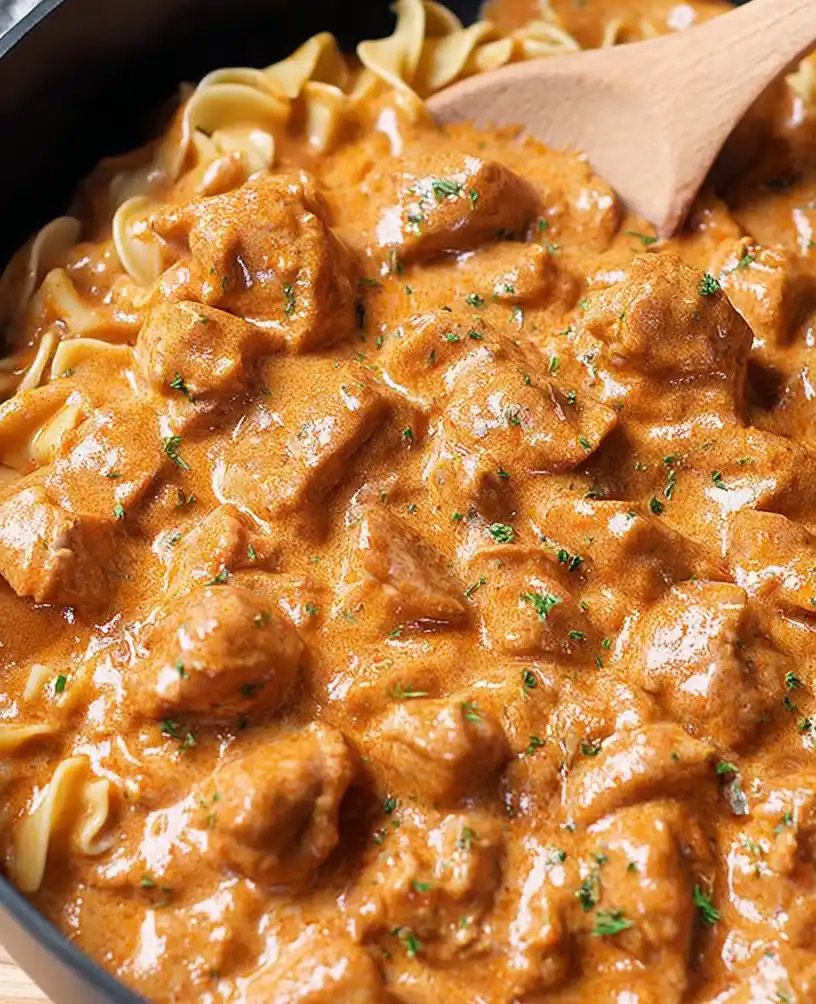 Chicken Paprikash with Egg Noodles close up